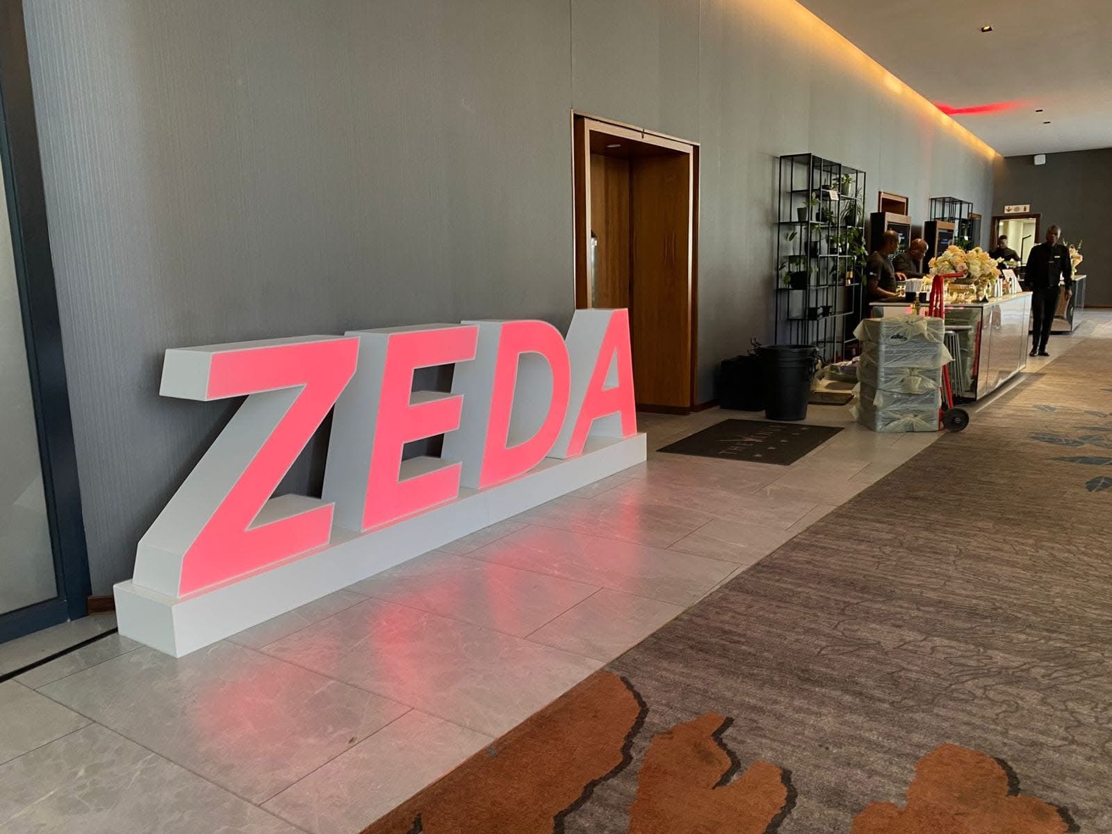 Zeda Illuminated